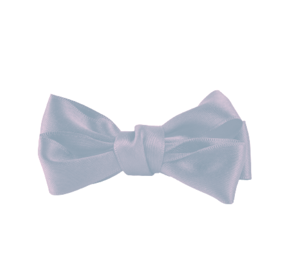 Baby Silk Bow