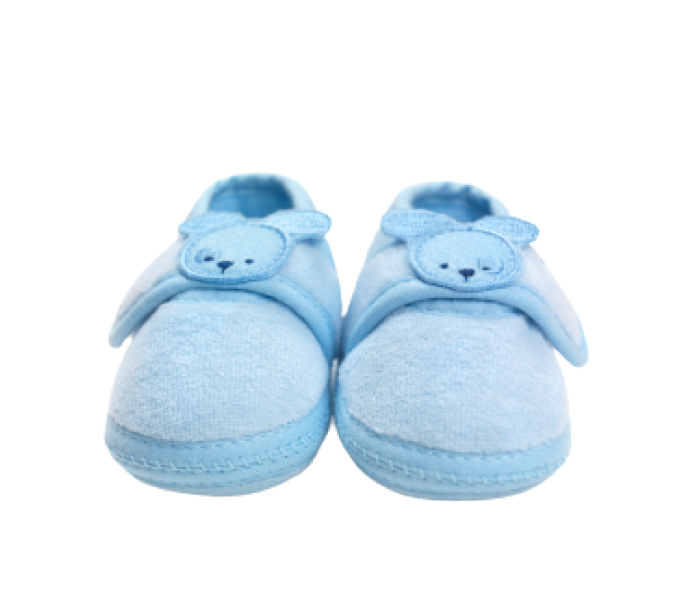 Baby Teddy Shoes
