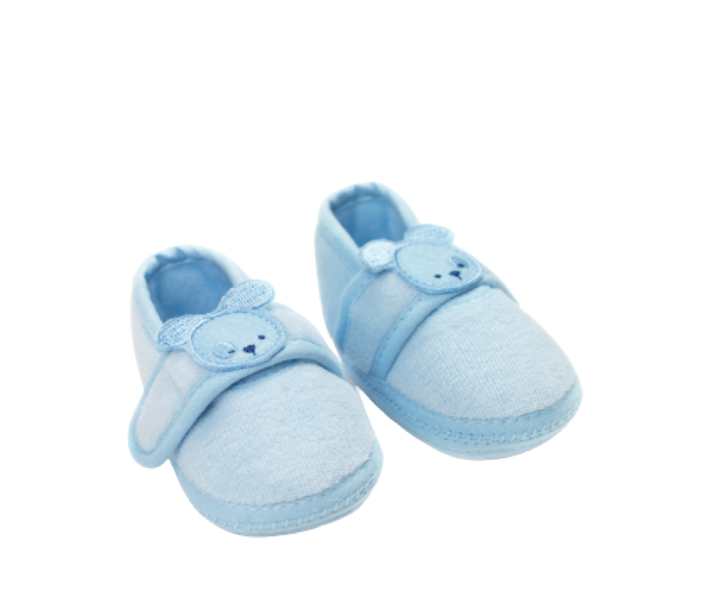 Baby Teddy Shoes