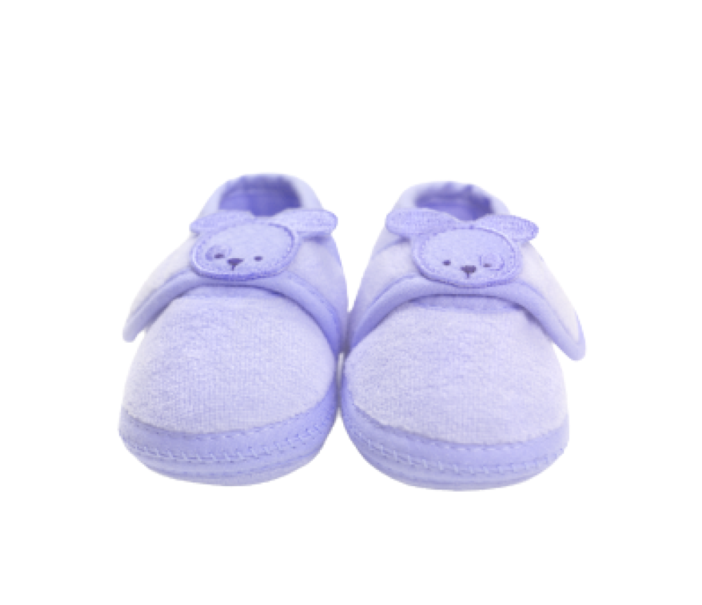 Baby Teddy Shoes