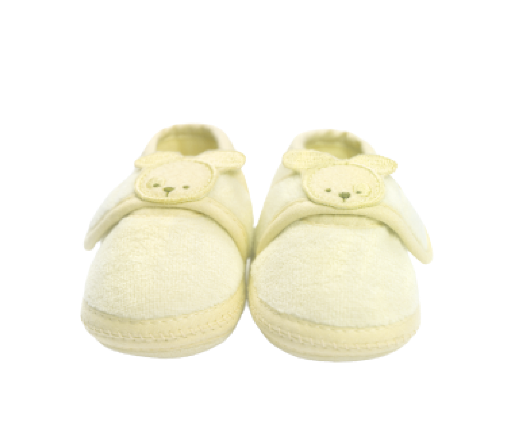 Baby Teddy Shoes