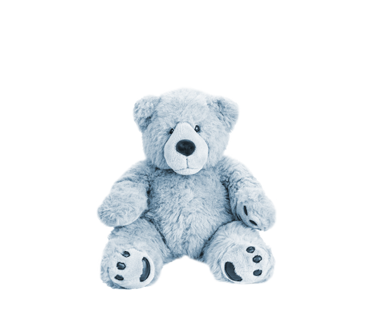 Fluffy Teddy Bear